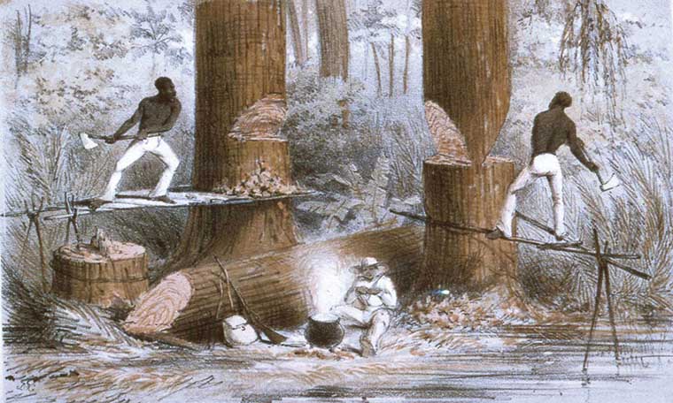Two enslaved individuals felling a mahogany tree.