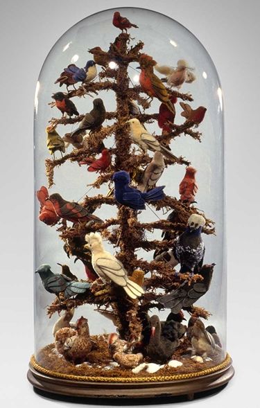 A glass domw covering a three dimensional scene of birds perched on tree branches.