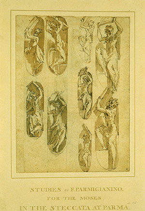 Nine Studies for the Figure of Moses in the Steccata