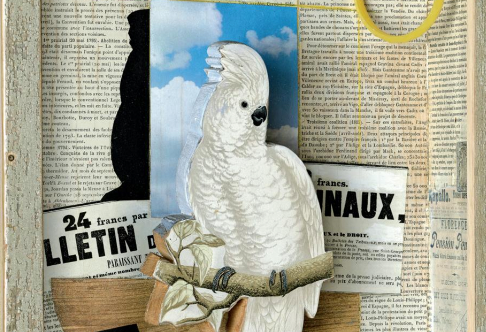One of Joseph Cornell's shadow boxes containing the image of a white-crested cockatoo backed by newspaper clippings