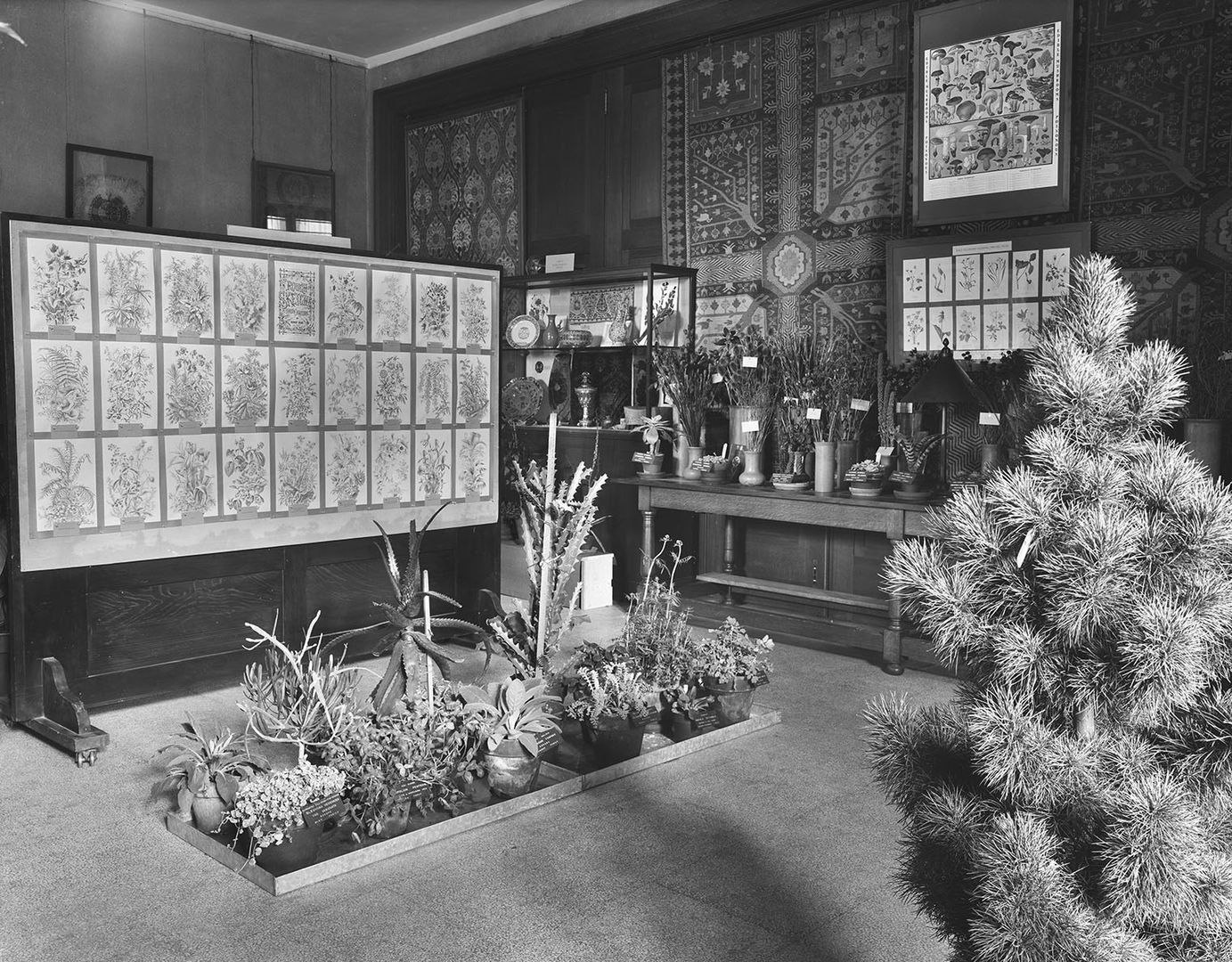 A black and white photograph of a gallery filled with plants.