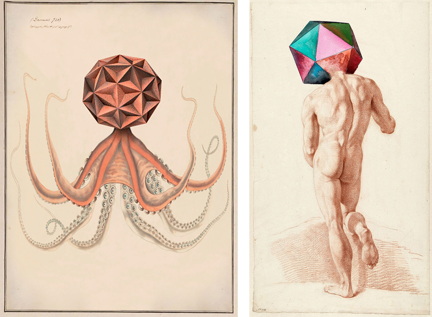 image on left is a sketch of an octopus with a geometric shape covering its head, image on right is a rear sketch of a nude man with a colorful geometric shape covering his head