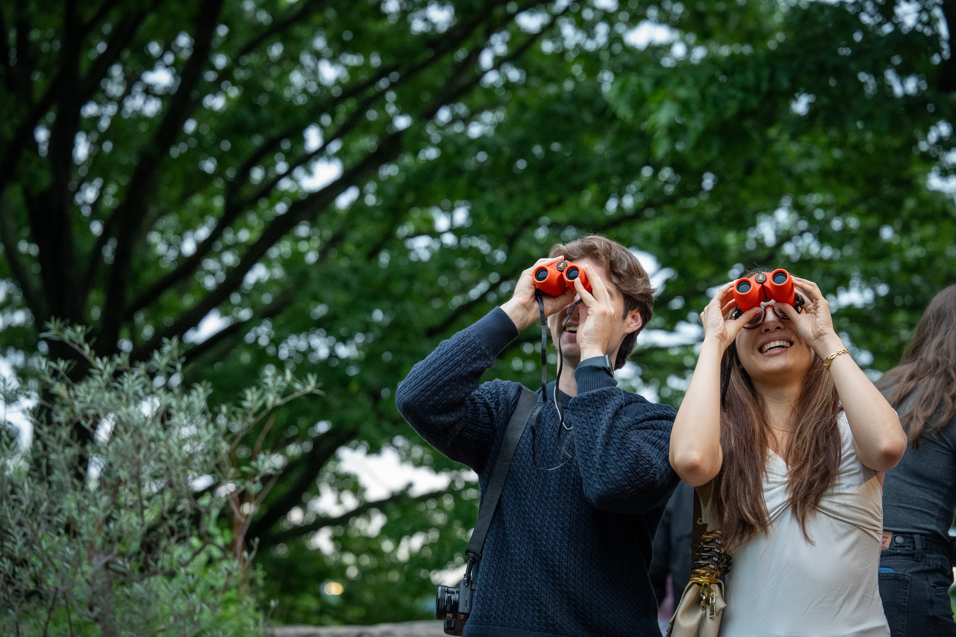 Two people looking at trees through binoculars