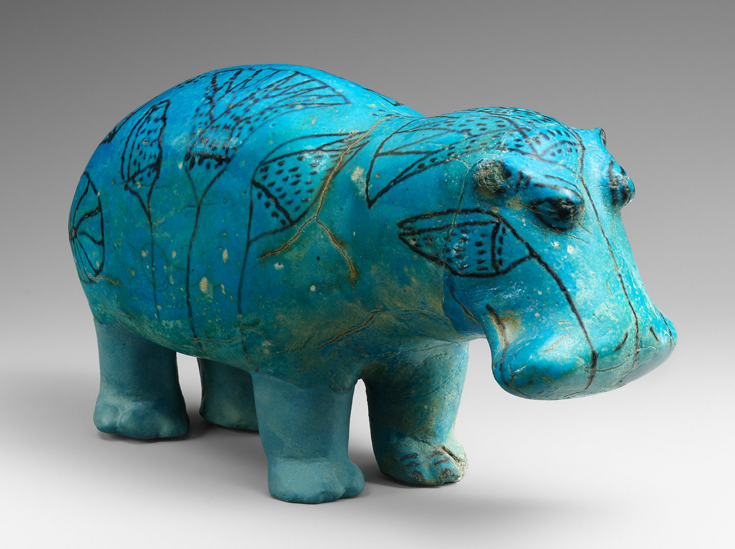 Ancient Hippo