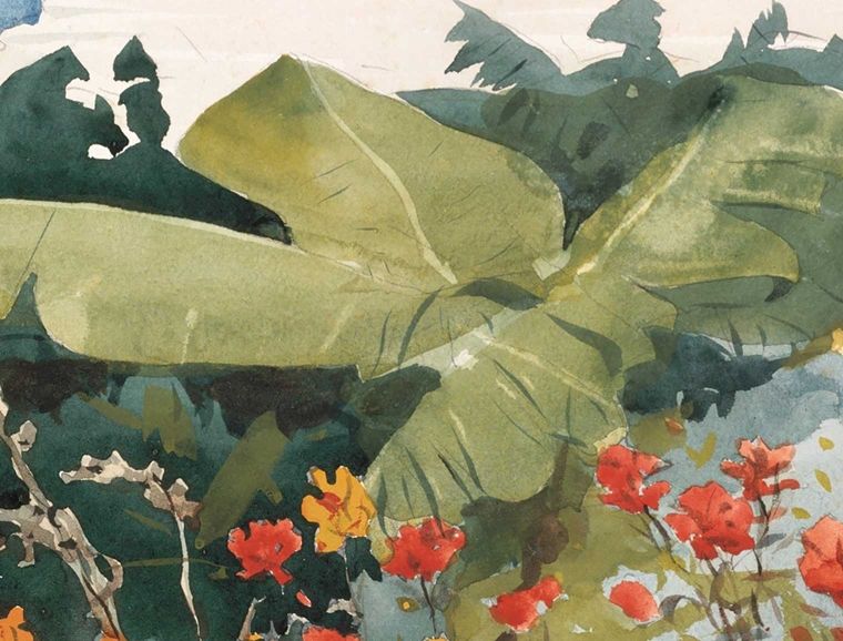 A detail of a large green tropical leaf from a watercolor image.