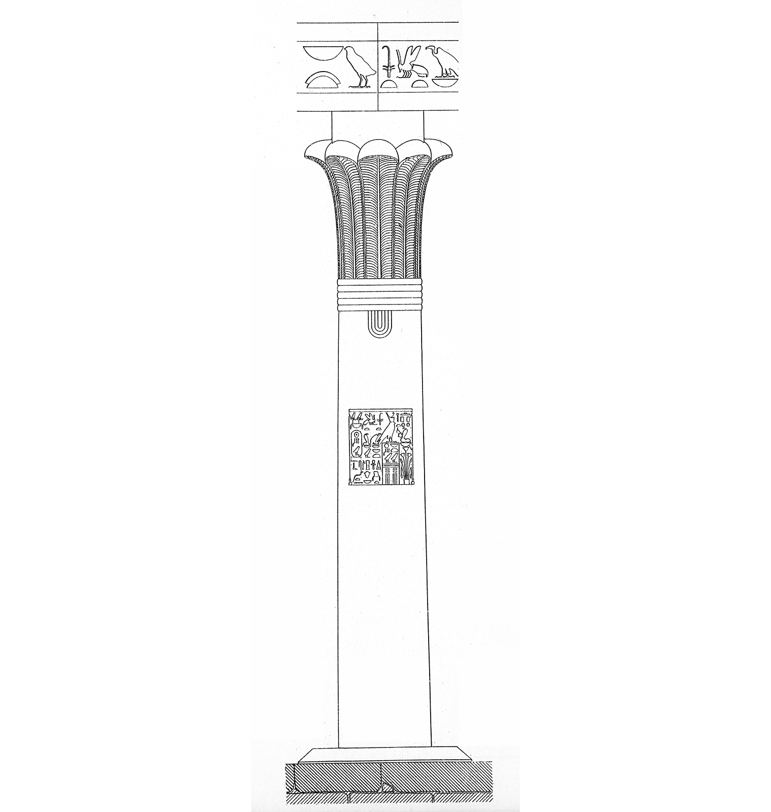 Line drawing of a reconstructed column with an inscription partway up and a capital of palm leaves.