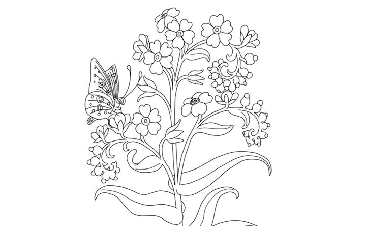 FALL COLORING PAGES  The William Benton Museum of Art