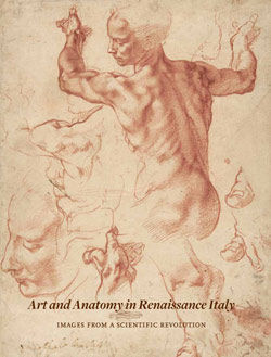 Art and Anatomy in Renaissance Italy: Images from a Scientific Revolution [adapted from The Metropolitan Museum of Art Bulletin, v. 69, no. 3 (Winter, 2012)]