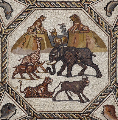 dolphin ancient roman mosaics pompeii