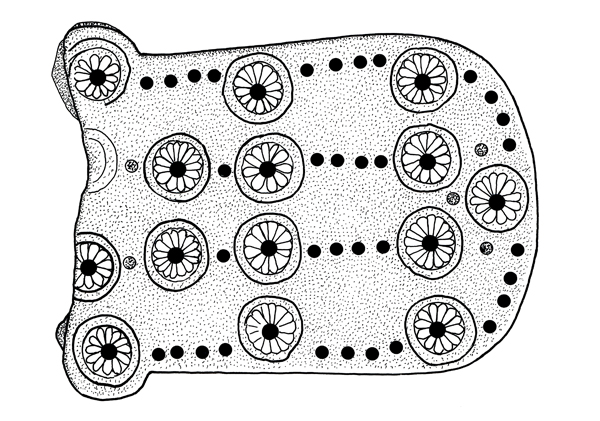 Game of 58 holes and its reverse. Said to be from Luristan, early 1st millenium B.C. Musée du Louvre. Drawing by Caroline Florimont