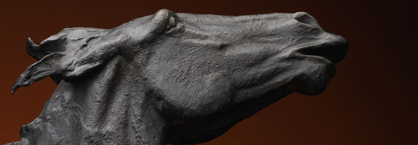 Detail of a bronze sculpture of a horse's head