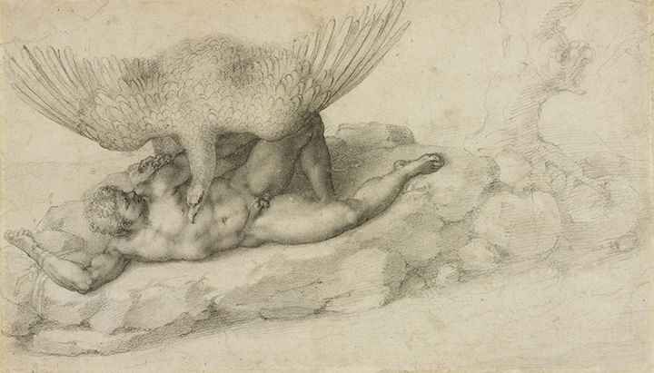 'Tityus (recto); Sketches for a Resurrection of Christ (verso)' by Michelangelo, depicting a giant bird landing on the torso of a man laying on a rock whose right arm is restrained by a rope