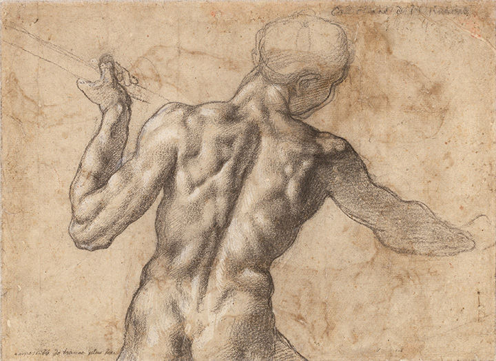 'Studies for the Battle of Cascina: Two Standing Nude Male Figures (recto); Nude Male Figure in Half-Length Seen from the Rear (verso)' by Michelangelo, depicting a male torso holding a spear, viewed from the rear