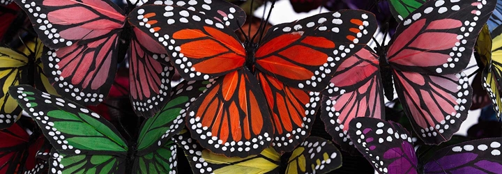 Close-up shot of artificial butterflies made from feathers in orange, pink, green, yellow, and red.