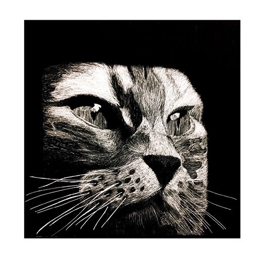 Black and white Cow pattern animal print Digital Art by Li Or - Pixels