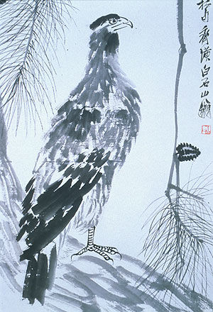 Eagle on a Pine Tree