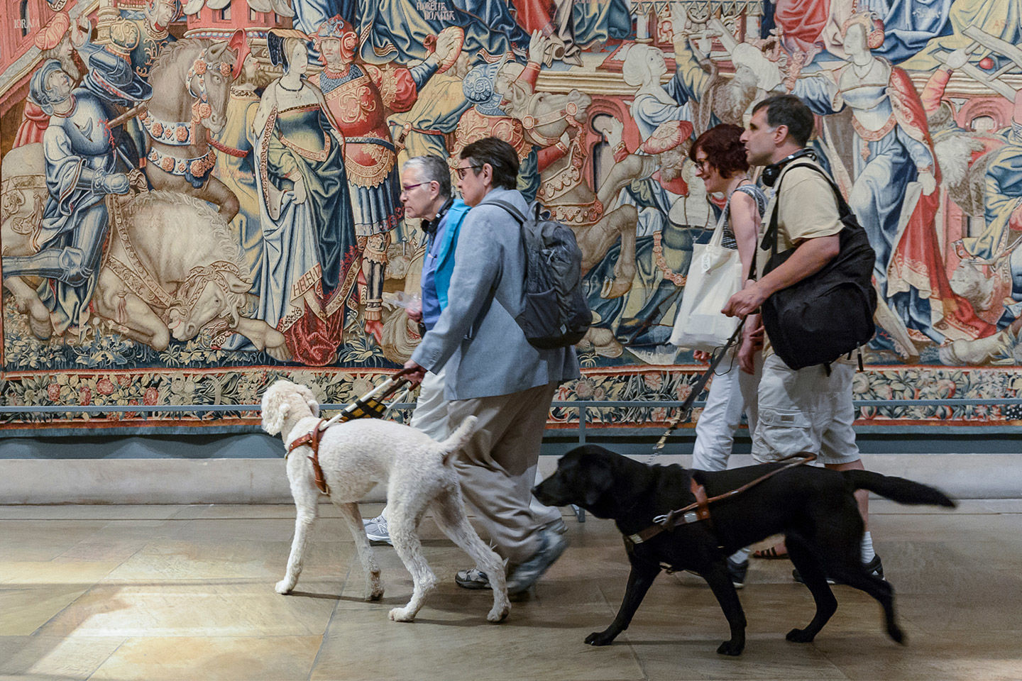 A group of visitors walk across a gallery with their guide dogs against a backdrop of large tapestries