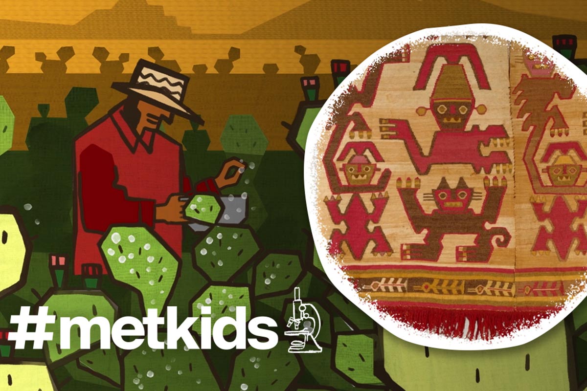 A cartoon drawing of a man in a hat picking small white insects from cacti in a field in the desert beside an inset photo of a Peruvian Chimu textile of red creatures depicting people and beasts. Bottom text reads hashtag MetKids and an icon indicating a microscope.