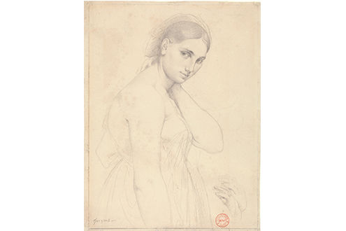 Leonardo to Matisse: Master Drawings from the Robert Lehman Collection