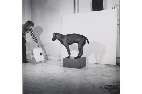 Before/On/After: William Wegman and California Conceptualism