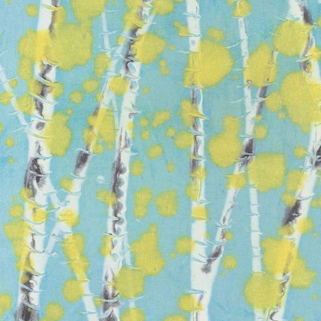 Painting of white aspen trees with yellow leaves in front of a blue background