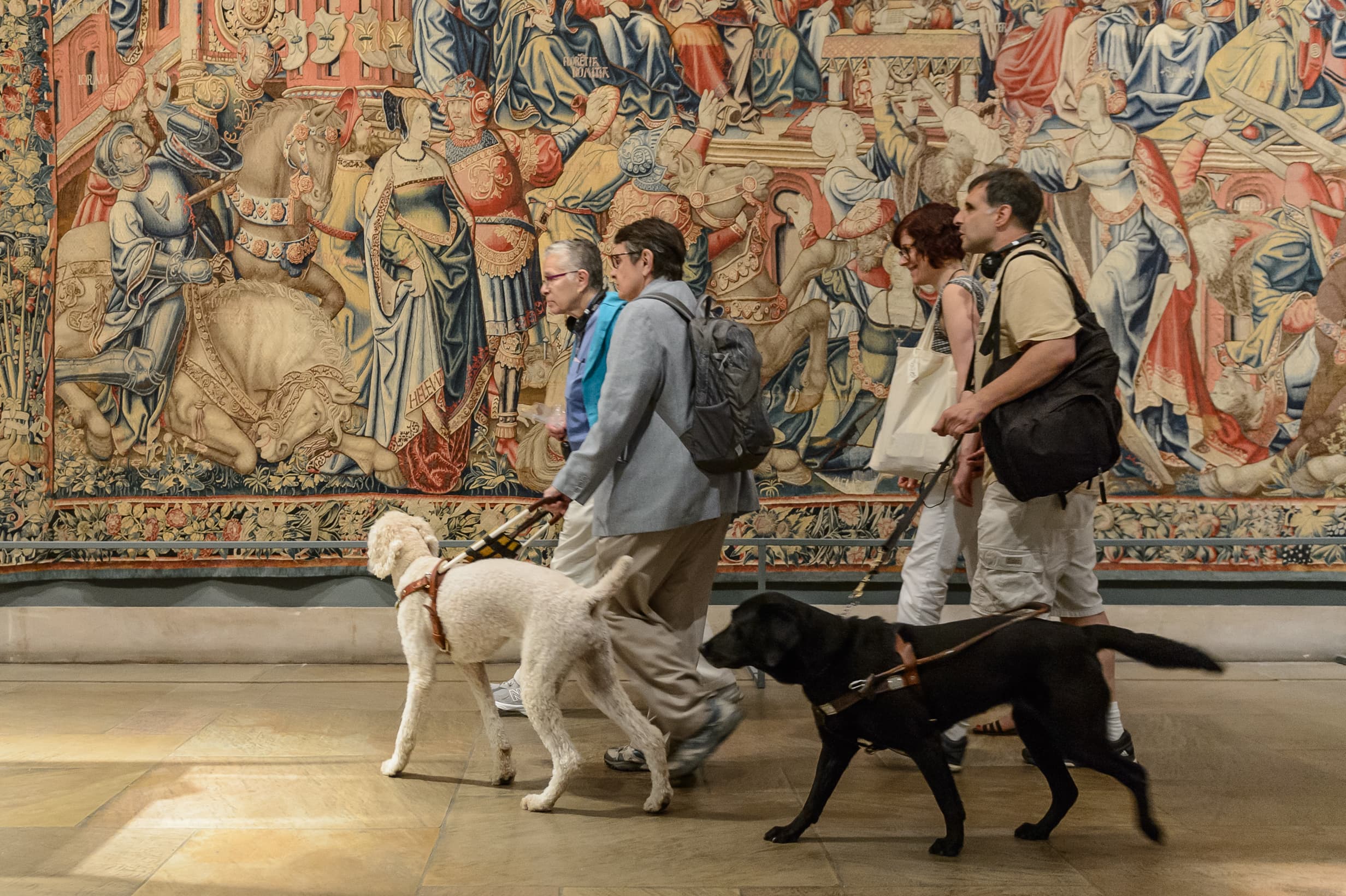 A group of four people walk through a gallery with a medieval tapestry in the background. Two group members are led by guide dogs—a white poodle and a black Labrador.
